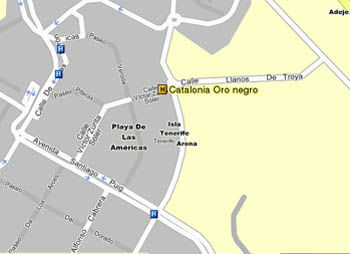 Hotel Catalonia Oro Negro Playa de las Americas (Tenerife)